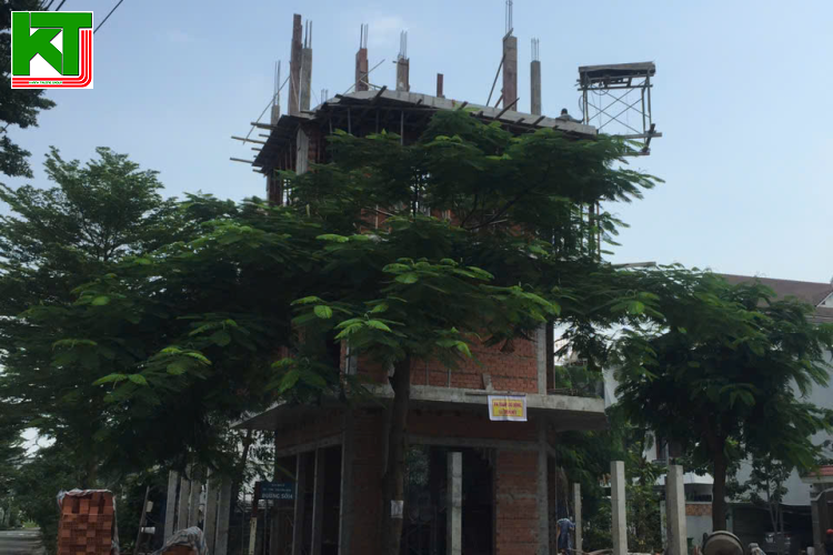 Nhà nhạc sỹ Đinh Trung Cẩn 